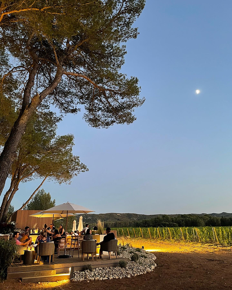 Domaine-la-Pierre-Blanche-Eygalieres-Regis-Cintas-Flores