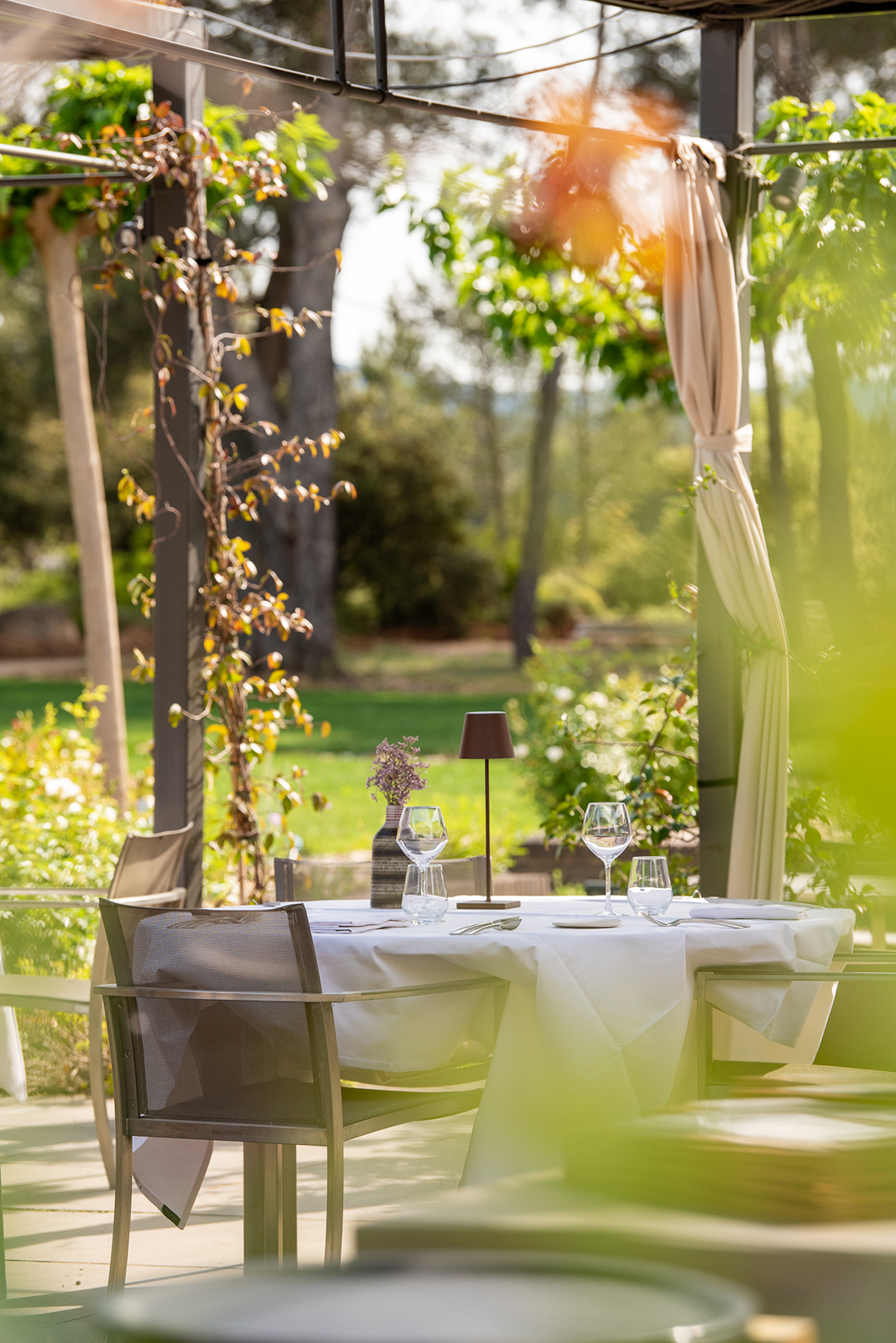 Photographies au Domaine de la Pierre Blanche.